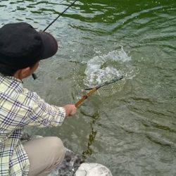 フィッシングエリア帝釈 釣果