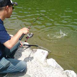 フィッシングエリア帝釈 釣果