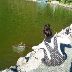 フィッシングエリア帝釈 釣果