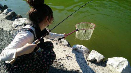 フィッシングエリア帝釈 釣果