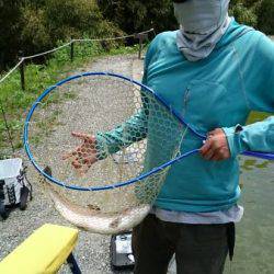 フィッシングエリア帝釈 釣果