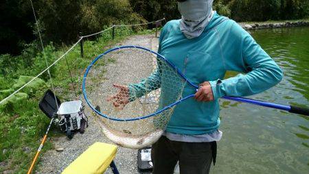 フィッシングエリア帝釈 釣果