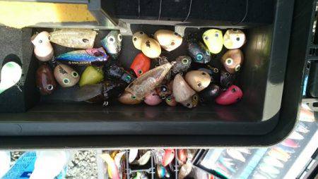 フィッシングエリア帝釈 釣果