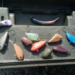 フィッシングエリア帝釈 釣果