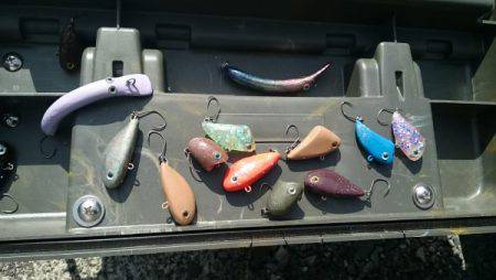 フィッシングエリア帝釈 釣果