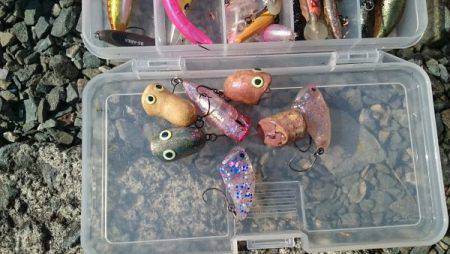 フィッシングエリア帝釈 釣果