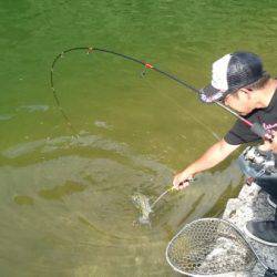 フィッシングエリア帝釈 釣果