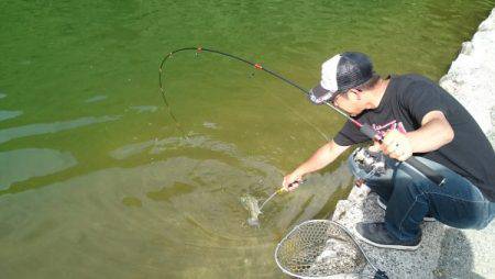 フィッシングエリア帝釈 釣果