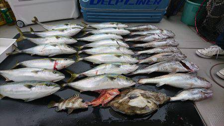 武士(SAMURAI) 釣果