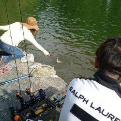 フィッシングエリア帝釈 釣果