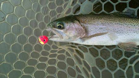 フィッシングエリア帝釈 釣果