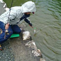 フィッシングエリア帝釈 釣果