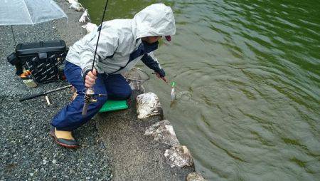 フィッシングエリア帝釈 釣果