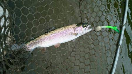 フィッシングエリア帝釈 釣果