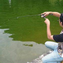 フィッシングエリア帝釈 釣果