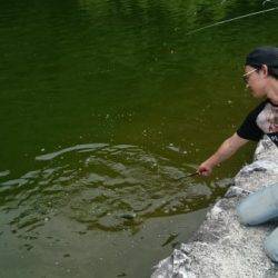 フィッシングエリア帝釈 釣果