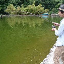 フィッシングエリア帝釈 釣果