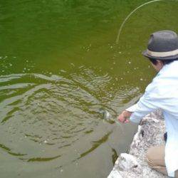 フィッシングエリア帝釈 釣果