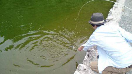 フィッシングエリア帝釈 釣果