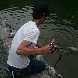 フィッシングエリア帝釈 釣果