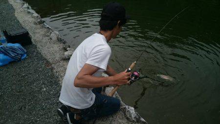 フィッシングエリア帝釈 釣果