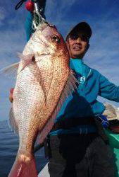 愛海丸 釣果