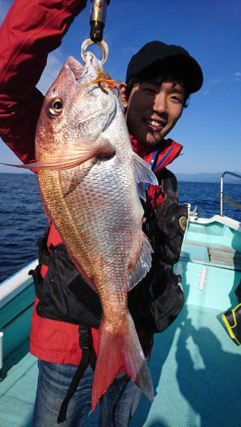 シードリーム 釣果