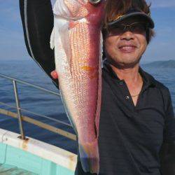 シードリーム 釣果