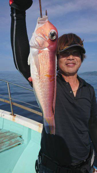 シードリーム 釣果