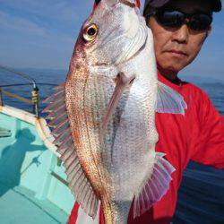 シードリーム 釣果