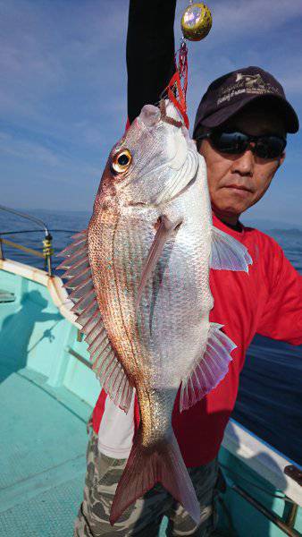 シードリーム 釣果