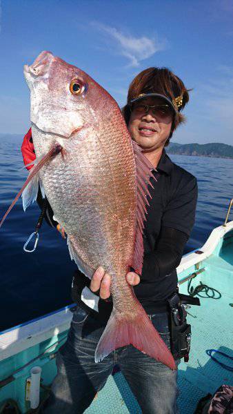 シードリーム 釣果