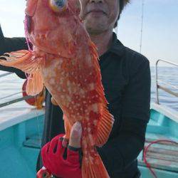 シードリーム 釣果