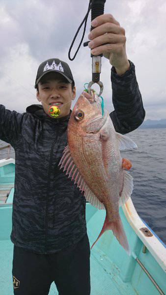 シードリーム 釣果