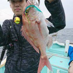 シードリーム 釣果