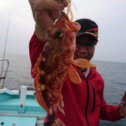 シードリーム 釣果