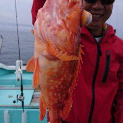 シードリーム 釣果