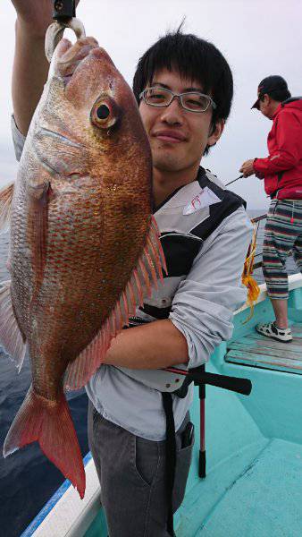 シードリーム 釣果