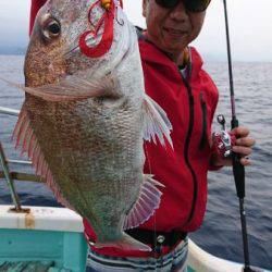 シードリーム 釣果