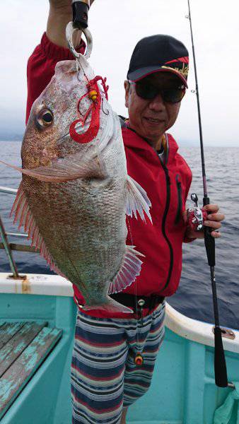 シードリーム 釣果