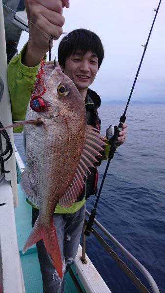 シードリーム 釣果