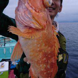 シードリーム 釣果