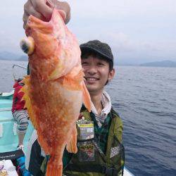 シードリーム 釣果