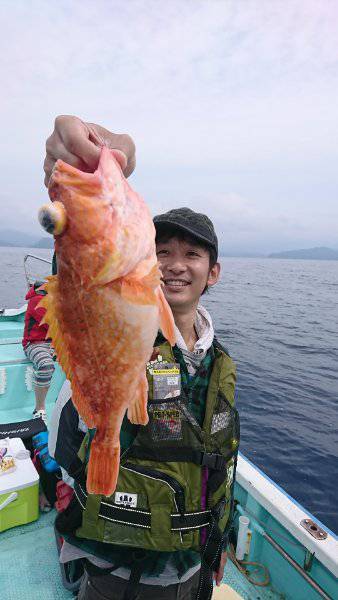 シードリーム 釣果