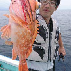 シードリーム 釣果