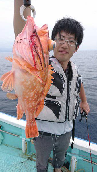 シードリーム 釣果