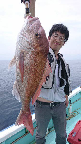 シードリーム 釣果