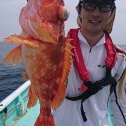 シードリーム 釣果