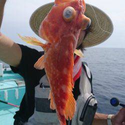 シードリーム 釣果