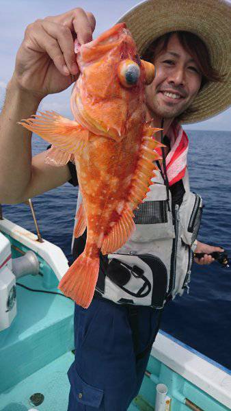 シードリーム 釣果